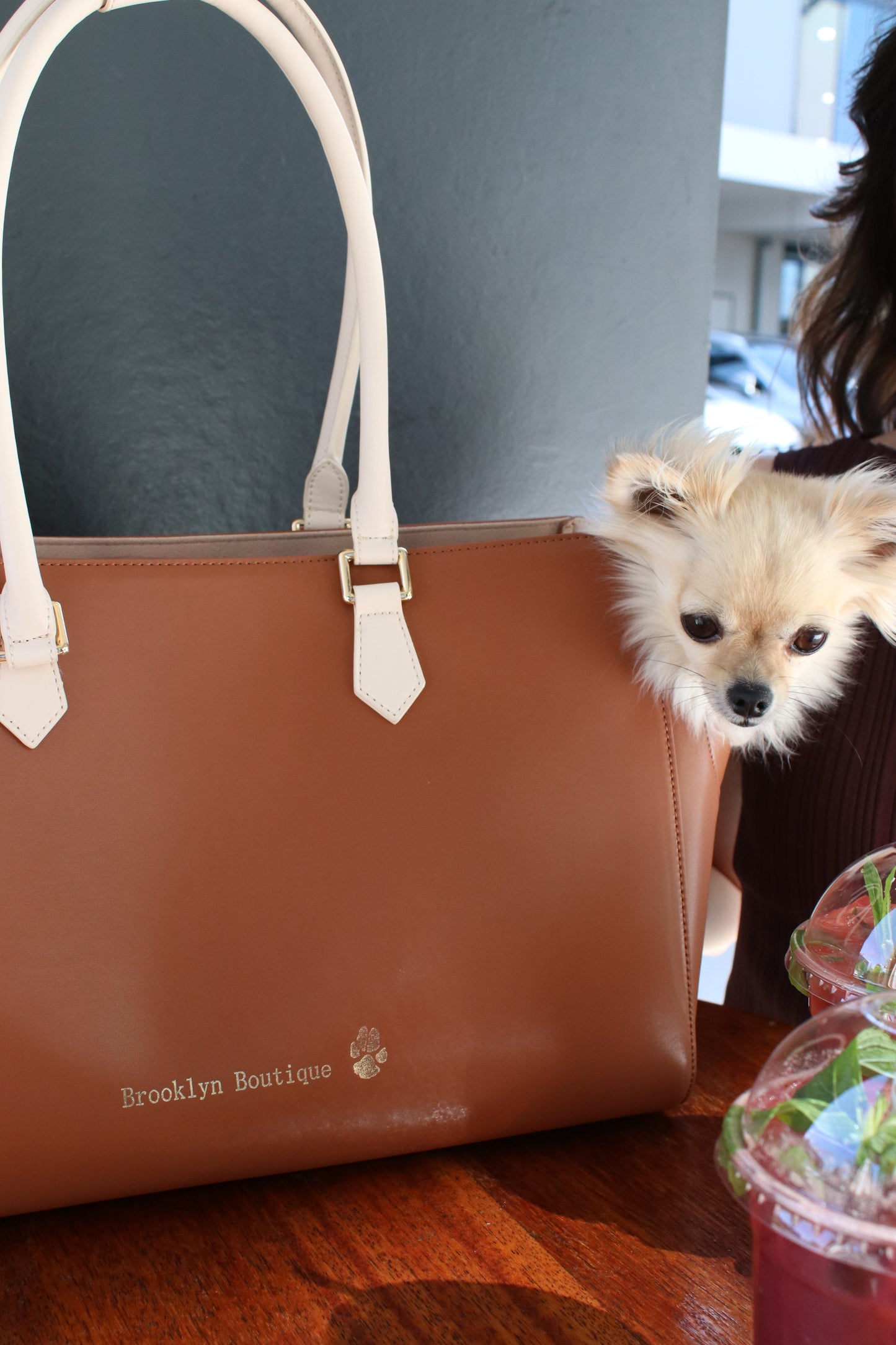 Stylish Pet Carrier