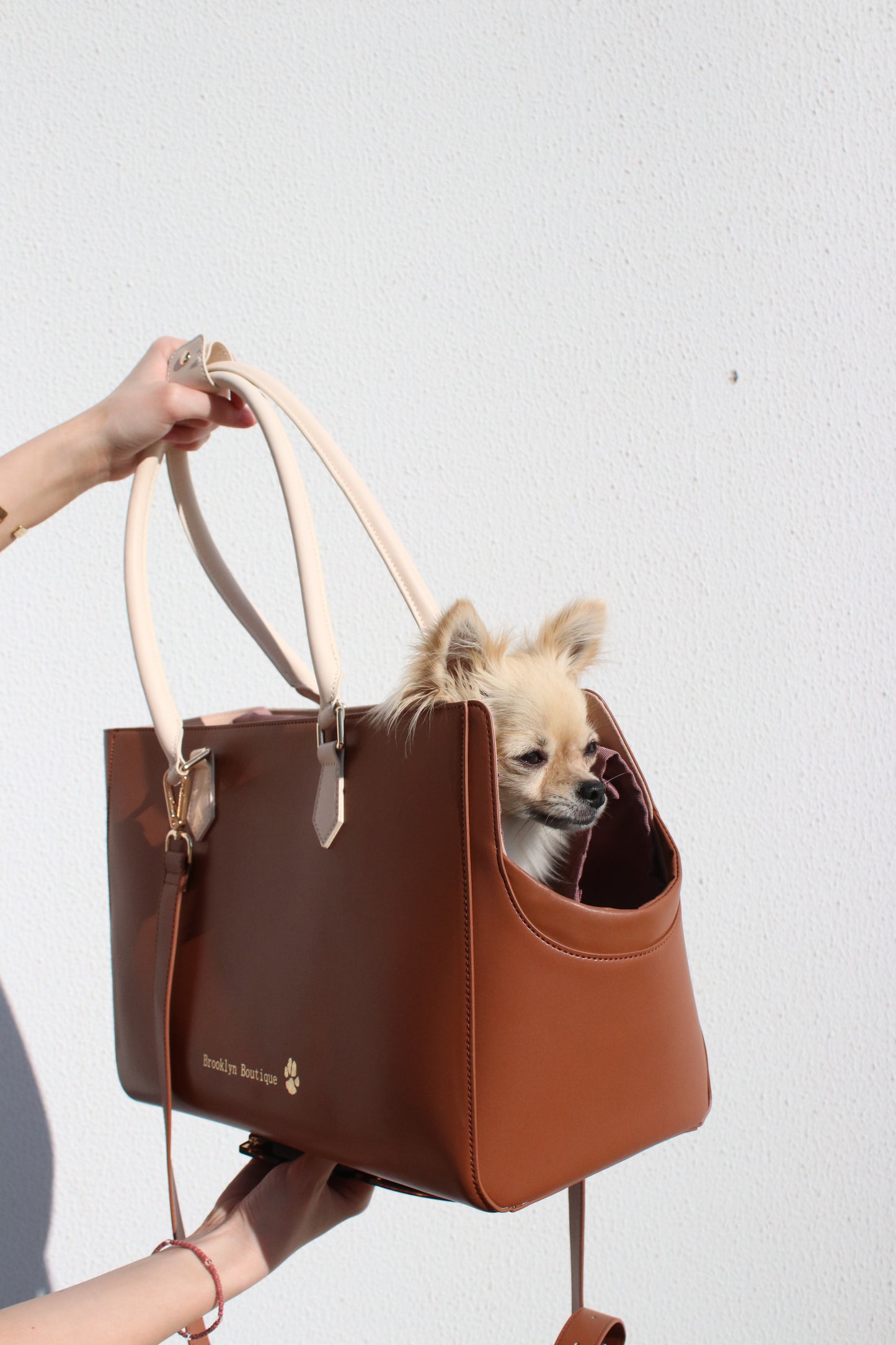 Stylish Pet Carrier