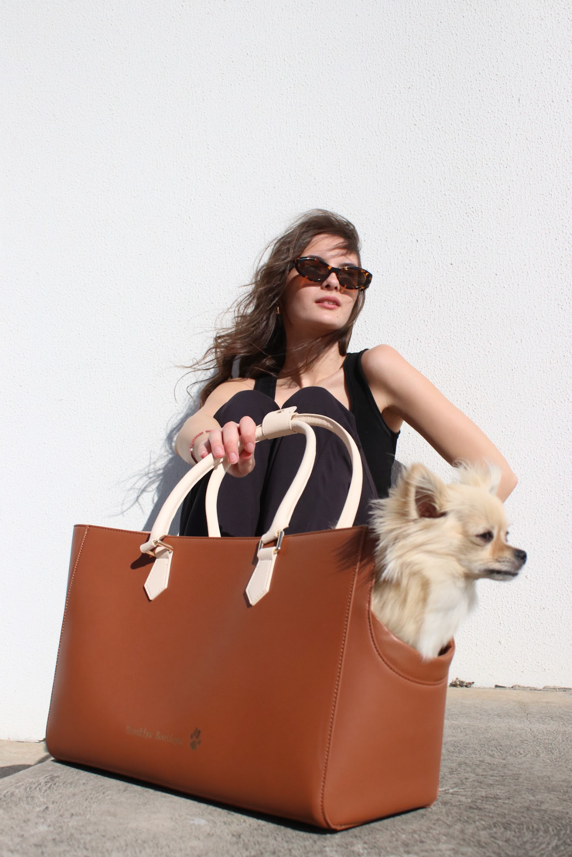 Stylish Pet Carrier