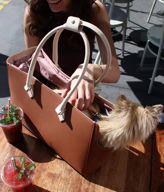 How to Keep Your Luxury Pet Carrier Clean