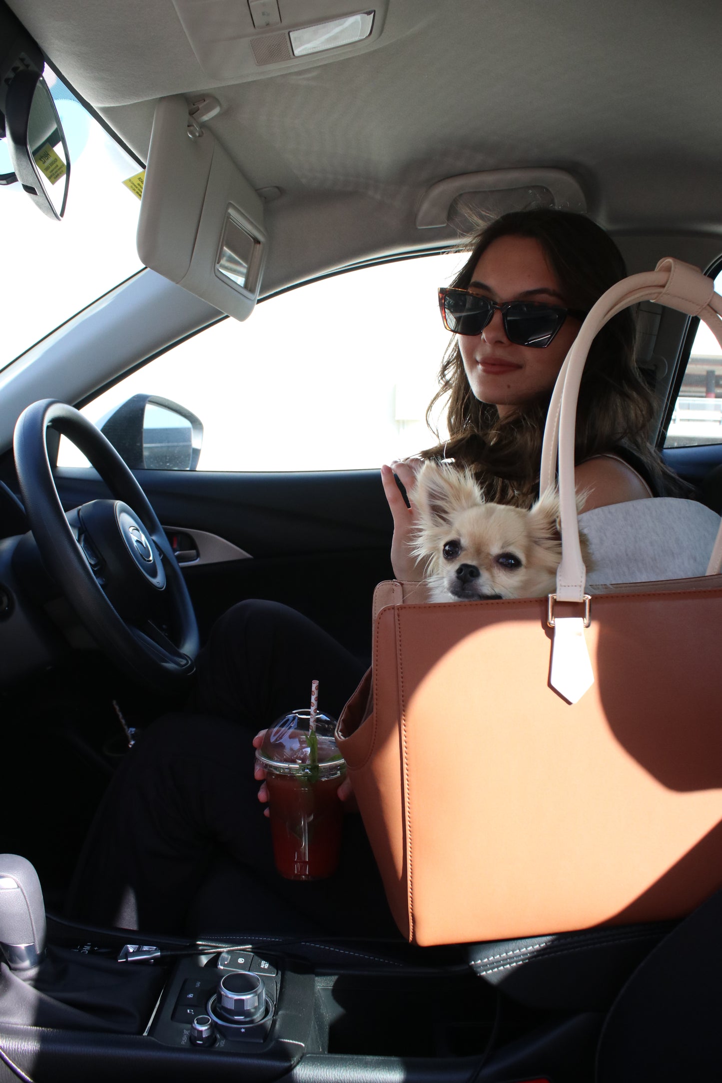 Stylish Pet Carrier